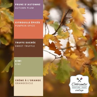 Produits de saisons (Automne)